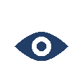 vision